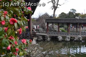 [P22] Gradinile Yu-Shanghai » foto by AZE
 - 
<span class="allrVoted glyphicon glyphicon-heart hidden" id="av842359"></span>
<a class="m-l-10 hidden" id="sv842359" onclick="voting_Foto_DelVot(,842359,21716)" role="button">șterge vot <span class="glyphicon glyphicon-remove"></span></a>
<a id="v9842359" class=" c-red"  onclick="voting_Foto_SetVot(842359)" role="button"><span class="glyphicon glyphicon-heart-empty"></span> <b>LIKE</b> = Votează poza</a> <img class="hidden"  id="f842359W9" src="/imagini/loader.gif" border="0" /><span class="AjErrMes hidden" id="e842359ErM"></span>