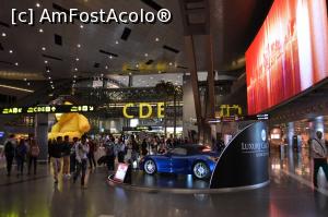 [P31] Hamad » foto by AZE
 - 
<span class="allrVoted glyphicon glyphicon-heart hidden" id="av876638"></span>
<a class="m-l-10 hidden" id="sv876638" onclick="voting_Foto_DelVot(,876638,21716)" role="button">șterge vot <span class="glyphicon glyphicon-remove"></span></a>
<a id="v9876638" class=" c-red"  onclick="voting_Foto_SetVot(876638)" role="button"><span class="glyphicon glyphicon-heart-empty"></span> <b>LIKE</b> = Votează poza</a> <img class="hidden"  id="f876638W9" src="/imagini/loader.gif" border="0" /><span class="AjErrMes hidden" id="e876638ErM"></span>