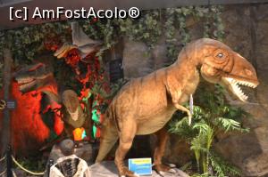 [P34] Decor in aeroport » foto by AZE
 - 
<span class="allrVoted glyphicon glyphicon-heart hidden" id="av876641"></span>
<a class="m-l-10 hidden" id="sv876641" onclick="voting_Foto_DelVot(,876641,21716)" role="button">șterge vot <span class="glyphicon glyphicon-remove"></span></a>
<a id="v9876641" class=" c-red"  onclick="voting_Foto_SetVot(876641)" role="button"><span class="glyphicon glyphicon-heart-empty"></span> <b>LIKE</b> = Votează poza</a> <img class="hidden"  id="f876641W9" src="/imagini/loader.gif" border="0" /><span class="AjErrMes hidden" id="e876641ErM"></span>