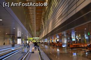 [P35] Benzi rulante in aeroport » foto by AZE
 - 
<span class="allrVoted glyphicon glyphicon-heart hidden" id="av876642"></span>
<a class="m-l-10 hidden" id="sv876642" onclick="voting_Foto_DelVot(,876642,21716)" role="button">șterge vot <span class="glyphicon glyphicon-remove"></span></a>
<a id="v9876642" class=" c-red"  onclick="voting_Foto_SetVot(876642)" role="button"><span class="glyphicon glyphicon-heart-empty"></span> <b>LIKE</b> = Votează poza</a> <img class="hidden"  id="f876642W9" src="/imagini/loader.gif" border="0" /><span class="AjErrMes hidden" id="e876642ErM"></span>