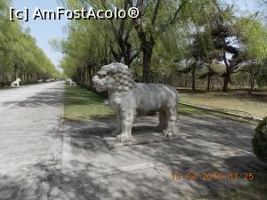 [P12] Beijing, Mormintele Ming, Calea Sacră împodobită cu statui de animale » foto by mprofeanu
 - 
<span class="allrVoted glyphicon glyphicon-heart hidden" id="av827717"></span>
<a class="m-l-10 hidden" id="sv827717" onclick="voting_Foto_DelVot(,827717,21753)" role="button">șterge vot <span class="glyphicon glyphicon-remove"></span></a>
<a id="v9827717" class=" c-red"  onclick="voting_Foto_SetVot(827717)" role="button"><span class="glyphicon glyphicon-heart-empty"></span> <b>LIKE</b> = Votează poza</a> <img class="hidden"  id="f827717W9" src="/imagini/loader.gif" border="0" /><span class="AjErrMes hidden" id="e827717ErM"></span>