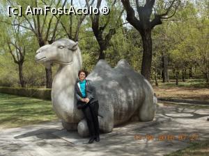 [P13] Beijing, Mormintele Ming, Calea Sacră, Am Fost Acolo » foto by mprofeanu
 - 
<span class="allrVoted glyphicon glyphicon-heart hidden" id="av827718"></span>
<a class="m-l-10 hidden" id="sv827718" onclick="voting_Foto_DelVot(,827718,21753)" role="button">șterge vot <span class="glyphicon glyphicon-remove"></span></a>
<a id="v9827718" class=" c-red"  onclick="voting_Foto_SetVot(827718)" role="button"><span class="glyphicon glyphicon-heart-empty"></span> <b>LIKE</b> = Votează poza</a> <img class="hidden"  id="f827718W9" src="/imagini/loader.gif" border="0" /><span class="AjErrMes hidden" id="e827718ErM"></span>