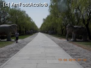 [P15] Beijing, Mormintele Ming, Calea Sacră cu statui uriașe... și liberă de turiști » foto by mprofeanu
 - 
<span class="allrVoted glyphicon glyphicon-heart hidden" id="av827720"></span>
<a class="m-l-10 hidden" id="sv827720" onclick="voting_Foto_DelVot(,827720,21753)" role="button">șterge vot <span class="glyphicon glyphicon-remove"></span></a>
<a id="v9827720" class=" c-red"  onclick="voting_Foto_SetVot(827720)" role="button"><span class="glyphicon glyphicon-heart-empty"></span> <b>LIKE</b> = Votează poza</a> <img class="hidden"  id="f827720W9" src="/imagini/loader.gif" border="0" /><span class="AjErrMes hidden" id="e827720ErM"></span>