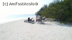 [P01]  -- <small>// FĂRĂ DESCRIERE</small> » foto by eris1311
 - 
<span class="allrVoted glyphicon glyphicon-heart hidden" id="av845831"></span>
<a class="m-l-10 hidden" id="sv845831" onclick="voting_Foto_DelVot(,845831,21776)" role="button">șterge vot <span class="glyphicon glyphicon-remove"></span></a>
<a id="v9845831" class=" c-red"  onclick="voting_Foto_SetVot(845831)" role="button"><span class="glyphicon glyphicon-heart-empty"></span> <b>LIKE</b> = Votează poza</a> <img class="hidden"  id="f845831W9" src="/imagini/loader.gif" border="0" /><span class="AjErrMes hidden" id="e845831ErM"></span>