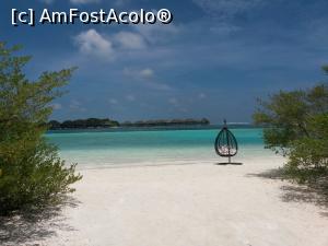 [P13]  -- <small>// FĂRĂ DESCRIERE</small> » foto by eris1311
 - 
<span class="allrVoted glyphicon glyphicon-heart hidden" id="av845843"></span>
<a class="m-l-10 hidden" id="sv845843" onclick="voting_Foto_DelVot(,845843,21776)" role="button">șterge vot <span class="glyphicon glyphicon-remove"></span></a>
<a id="v9845843" class=" c-red"  onclick="voting_Foto_SetVot(845843)" role="button"><span class="glyphicon glyphicon-heart-empty"></span> <b>LIKE</b> = Votează poza</a> <img class="hidden"  id="f845843W9" src="/imagini/loader.gif" border="0" /><span class="AjErrMes hidden" id="e845843ErM"></span>