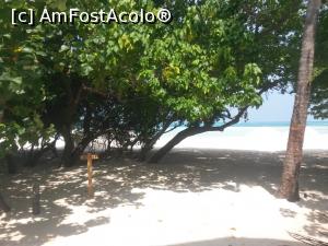 [P02]  -- <small>// FĂRĂ DESCRIERE</small> » foto by eris1311
 - 
<span class="allrVoted glyphicon glyphicon-heart hidden" id="av845832"></span>
<a class="m-l-10 hidden" id="sv845832" onclick="voting_Foto_DelVot(,845832,21776)" role="button">șterge vot <span class="glyphicon glyphicon-remove"></span></a>
<a id="v9845832" class=" c-red"  onclick="voting_Foto_SetVot(845832)" role="button"><span class="glyphicon glyphicon-heart-empty"></span> <b>LIKE</b> = Votează poza</a> <img class="hidden"  id="f845832W9" src="/imagini/loader.gif" border="0" /><span class="AjErrMes hidden" id="e845832ErM"></span>