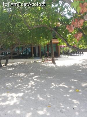 [P03]  -- <small>// FĂRĂ DESCRIERE</small> » foto by eris1311
 - 
<span class="allrVoted glyphicon glyphicon-heart hidden" id="av845833"></span>
<a class="m-l-10 hidden" id="sv845833" onclick="voting_Foto_DelVot(,845833,21776)" role="button">șterge vot <span class="glyphicon glyphicon-remove"></span></a>
<a id="v9845833" class=" c-red"  onclick="voting_Foto_SetVot(845833)" role="button"><span class="glyphicon glyphicon-heart-empty"></span> <b>LIKE</b> = Votează poza</a> <img class="hidden"  id="f845833W9" src="/imagini/loader.gif" border="0" /><span class="AjErrMes hidden" id="e845833ErM"></span>