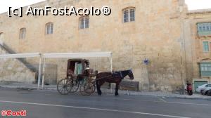 [P08] O modalitate de plimbare prin Valletta este și cea cu trăsura.  » foto by Costi
 - 
<span class="allrVoted glyphicon glyphicon-heart hidden" id="av718595"></span>
<a class="m-l-10 hidden" id="sv718595" onclick="voting_Foto_DelVot(,718595,21813)" role="button">șterge vot <span class="glyphicon glyphicon-remove"></span></a>
<a id="v9718595" class=" c-red"  onclick="voting_Foto_SetVot(718595)" role="button"><span class="glyphicon glyphicon-heart-empty"></span> <b>LIKE</b> = Votează poza</a> <img class="hidden"  id="f718595W9" src="/imagini/loader.gif" border="0" /><span class="AjErrMes hidden" id="e718595ErM"></span>