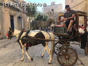 [P11] Mdina » foto by krisstinna
 - 
<span class="allrVoted glyphicon glyphicon-heart hidden" id="av913351"></span>
<a class="m-l-10 hidden" id="sv913351" onclick="voting_Foto_DelVot(,913351,21813)" role="button">șterge vot <span class="glyphicon glyphicon-remove"></span></a>
<a id="v9913351" class=" c-red"  onclick="voting_Foto_SetVot(913351)" role="button"><span class="glyphicon glyphicon-heart-empty"></span> <b>LIKE</b> = Votează poza</a> <img class="hidden"  id="f913351W9" src="/imagini/loader.gif" border="0" /><span class="AjErrMes hidden" id="e913351ErM"></span>