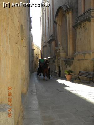 [P14] Mdina » foto by krisstinna
 - 
<span class="allrVoted glyphicon glyphicon-heart hidden" id="av913354"></span>
<a class="m-l-10 hidden" id="sv913354" onclick="voting_Foto_DelVot(,913354,21813)" role="button">șterge vot <span class="glyphicon glyphicon-remove"></span></a>
<a id="v9913354" class=" c-red"  onclick="voting_Foto_SetVot(913354)" role="button"><span class="glyphicon glyphicon-heart-empty"></span> <b>LIKE</b> = Votează poza</a> <img class="hidden"  id="f913354W9" src="/imagini/loader.gif" border="0" /><span class="AjErrMes hidden" id="e913354ErM"></span>