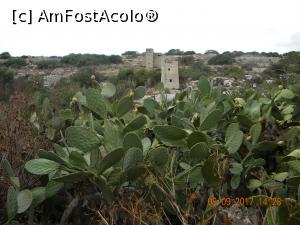 [P38] Ghar Dalam » foto by krisstinna
 - 
<span class="allrVoted glyphicon glyphicon-heart hidden" id="av913378"></span>
<a class="m-l-10 hidden" id="sv913378" onclick="voting_Foto_DelVot(,913378,21813)" role="button">șterge vot <span class="glyphicon glyphicon-remove"></span></a>
<a id="v9913378" class=" c-red"  onclick="voting_Foto_SetVot(913378)" role="button"><span class="glyphicon glyphicon-heart-empty"></span> <b>LIKE</b> = Votează poza</a> <img class="hidden"  id="f913378W9" src="/imagini/loader.gif" border="0" /><span class="AjErrMes hidden" id="e913378ErM"></span>