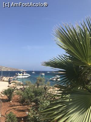 [P64] Comino » foto by krisstinna
 - 
<span class="allrVoted glyphicon glyphicon-heart hidden" id="av913404"></span>
<a class="m-l-10 hidden" id="sv913404" onclick="voting_Foto_DelVot(,913404,21813)" role="button">șterge vot <span class="glyphicon glyphicon-remove"></span></a>
<a id="v9913404" class=" c-red"  onclick="voting_Foto_SetVot(913404)" role="button"><span class="glyphicon glyphicon-heart-empty"></span> <b>LIKE</b> = Votează poza</a> <img class="hidden"  id="f913404W9" src="/imagini/loader.gif" border="0" /><span class="AjErrMes hidden" id="e913404ErM"></span>