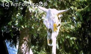 [P18] Totemul tribului ”Ciobanii” (nu departe de Lacul Dracului)  » foto by Lucien
 - 
<span class="allrVoted glyphicon glyphicon-heart hidden" id="av849752"></span>
<a class="m-l-10 hidden" id="sv849752" onclick="voting_Foto_DelVot(,849752,21826)" role="button">șterge vot <span class="glyphicon glyphicon-remove"></span></a>
<a id="v9849752" class=" c-red"  onclick="voting_Foto_SetVot(849752)" role="button"><span class="glyphicon glyphicon-heart-empty"></span> <b>LIKE</b> = Votează poza</a> <img class="hidden"  id="f849752W9" src="/imagini/loader.gif" border="0" /><span class="AjErrMes hidden" id="e849752ErM"></span>