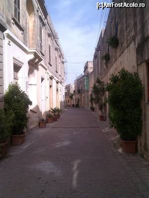 [P05]  -- <small>// FĂRĂ DESCRIERE</small> » foto by IULIU ANTAL
 - 
<span class="allrVoted glyphicon glyphicon-heart hidden" id="av574760"></span>
<a class="m-l-10 hidden" id="sv574760" onclick="voting_Foto_DelVot(,574760,21895)" role="button">șterge vot <span class="glyphicon glyphicon-remove"></span></a>
<a id="v9574760" class=" c-red"  onclick="voting_Foto_SetVot(574760)" role="button"><span class="glyphicon glyphicon-heart-empty"></span> <b>LIKE</b> = Votează poza</a> <img class="hidden"  id="f574760W9" src="/imagini/loader.gif" border="0" /><span class="AjErrMes hidden" id="e574760ErM"></span>