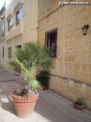 [P09]  -- <small>// FĂRĂ DESCRIERE</small> » foto by IULIU ANTAL
 - 
<span class="allrVoted glyphicon glyphicon-heart hidden" id="av574764"></span>
<a class="m-l-10 hidden" id="sv574764" onclick="voting_Foto_DelVot(,574764,21895)" role="button">șterge vot <span class="glyphicon glyphicon-remove"></span></a>
<a id="v9574764" class=" c-red"  onclick="voting_Foto_SetVot(574764)" role="button"><span class="glyphicon glyphicon-heart-empty"></span> <b>LIKE</b> = Votează poza</a> <img class="hidden"  id="f574764W9" src="/imagini/loader.gif" border="0" /><span class="AjErrMes hidden" id="e574764ErM"></span>