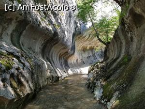 [P19] Am străbătut cheile &icirc;napoi, către podețul de lemn. » foto by Floryn81
 - 
<span class="allrVoted glyphicon glyphicon-heart hidden" id="av1197351"></span>
<a class="m-l-10 hidden" id="sv1197351" onclick="voting_Foto_DelVot(,1197351,21910)" role="button">șterge vot <span class="glyphicon glyphicon-remove"></span></a>
<a id="v91197351" class=" c-red"  onclick="voting_Foto_SetVot(1197351)" role="button"><span class="glyphicon glyphicon-heart-empty"></span> <b>LIKE</b> = Votează poza</a> <img class="hidden"  id="f1197351W9" src="/imagini/loader.gif" border="0" /><span class="AjErrMes hidden" id="e1197351ErM"></span>