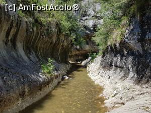 [P07] La plimbare prin albia Băniței. » foto by Floryn81
 - 
<span class="allrVoted glyphicon glyphicon-heart hidden" id="av1197339"></span>
<a class="m-l-10 hidden" id="sv1197339" onclick="voting_Foto_DelVot(,1197339,21910)" role="button">șterge vot <span class="glyphicon glyphicon-remove"></span></a>
<a id="v91197339" class=" c-red"  onclick="voting_Foto_SetVot(1197339)" role="button"><span class="glyphicon glyphicon-heart-empty"></span> <b>LIKE</b> = Votează poza</a> <img class="hidden"  id="f1197339W9" src="/imagini/loader.gif" border="0" /><span class="AjErrMes hidden" id="e1197339ErM"></span>