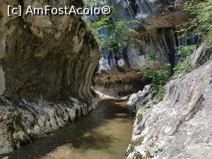 [P08] Cheile Băniței, un obiectiv ușor accesibil. » foto by Floryn81
 - 
<span class="allrVoted glyphicon glyphicon-heart hidden" id="av1197340"></span>
<a class="m-l-10 hidden" id="sv1197340" onclick="voting_Foto_DelVot(,1197340,21910)" role="button">șterge vot <span class="glyphicon glyphicon-remove"></span></a>
<a id="v91197340" class=" c-red"  onclick="voting_Foto_SetVot(1197340)" role="button"><span class="glyphicon glyphicon-heart-empty"></span> <b>LIKE</b> = Votează poza</a> <img class="hidden"  id="f1197340W9" src="/imagini/loader.gif" border="0" /><span class="AjErrMes hidden" id="e1197340ErM"></span>