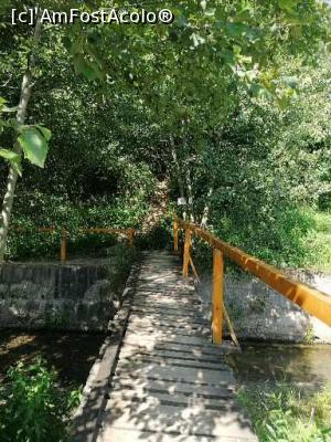 [P06] SPRE Cheile Banitei » foto by Rox.Patrik
 - 
<span class="allrVoted glyphicon glyphicon-heart hidden" id="av1320032"></span>
<a class="m-l-10 hidden" id="sv1320032" onclick="voting_Foto_DelVot(,1320032,21910)" role="button">șterge vot <span class="glyphicon glyphicon-remove"></span></a>
<a id="v91320032" class=" c-red"  onclick="voting_Foto_SetVot(1320032)" role="button"><span class="glyphicon glyphicon-heart-empty"></span> <b>LIKE</b> = Votează poza</a> <img class="hidden"  id="f1320032W9" src="/imagini/loader.gif" border="0" /><span class="AjErrMes hidden" id="e1320032ErM"></span>