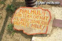 [P09] Nu urca pe nerasuflate: fa-ti timp si citeste psalmii. Din loc in loc, pe treptele scarii... » foto by bubumaia
 - 
<span class="allrVoted glyphicon glyphicon-heart hidden" id="av134336"></span>
<a class="m-l-10 hidden" id="sv134336" onclick="voting_Foto_DelVot(,134336,21912)" role="button">șterge vot <span class="glyphicon glyphicon-remove"></span></a>
<a id="v9134336" class=" c-red"  onclick="voting_Foto_SetVot(134336)" role="button"><span class="glyphicon glyphicon-heart-empty"></span> <b>LIKE</b> = Votează poza</a> <img class="hidden"  id="f134336W9" src="/imagini/loader.gif" border="0" /><span class="AjErrMes hidden" id="e134336ErM"></span>