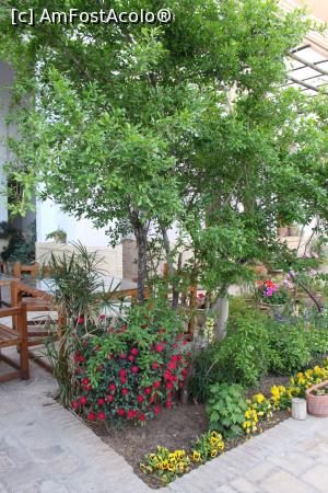 [P42] Kashan, Casa de Oaspeți Ehsan, Pomi și flori în curtea interioară » foto by mprofeanu
 - 
<span class="allrVoted glyphicon glyphicon-heart hidden" id="av856504"></span>
<a class="m-l-10 hidden" id="sv856504" onclick="voting_Foto_DelVot(,856504,21921)" role="button">șterge vot <span class="glyphicon glyphicon-remove"></span></a>
<a id="v9856504" class=" c-red"  onclick="voting_Foto_SetVot(856504)" role="button"><span class="glyphicon glyphicon-heart-empty"></span> <b>LIKE</b> = Votează poza</a> <img class="hidden"  id="f856504W9" src="/imagini/loader.gif" border="0" /><span class="AjErrMes hidden" id="e856504ErM"></span>