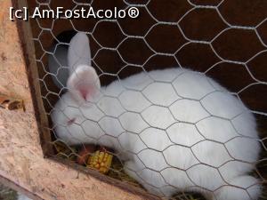 [P19] Mica fermă cu animale domestice.  » foto by tata123 🔱
 - 
<span class="allrVoted glyphicon glyphicon-heart hidden" id="av1053773"></span>
<a class="m-l-10 hidden" id="sv1053773" onclick="voting_Foto_DelVot(,1053773,21922)" role="button">șterge vot <span class="glyphicon glyphicon-remove"></span></a>
<a id="v91053773" class=" c-red"  onclick="voting_Foto_SetVot(1053773)" role="button"><span class="glyphicon glyphicon-heart-empty"></span> <b>LIKE</b> = Votează poza</a> <img class="hidden"  id="f1053773W9" src="/imagini/loader.gif" border="0" /><span class="AjErrMes hidden" id="e1053773ErM"></span>
