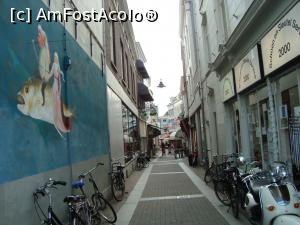 [P06] Pestii zburători ai pictorului mă salută pe o veche stradă a orașului medieval.  » foto by mireille
 - 
<span class="allrVoted glyphicon glyphicon-heart hidden" id="av857195"></span>
<a class="m-l-10 hidden" id="sv857195" onclick="voting_Foto_DelVot(,857195,21937)" role="button">șterge vot <span class="glyphicon glyphicon-remove"></span></a>
<a id="v9857195" class=" c-red"  onclick="voting_Foto_SetVot(857195)" role="button"><span class="glyphicon glyphicon-heart-empty"></span> <b>LIKE</b> = Votează poza</a> <img class="hidden"  id="f857195W9" src="/imagini/loader.gif" border="0" /><span class="AjErrMes hidden" id="e857195ErM"></span>