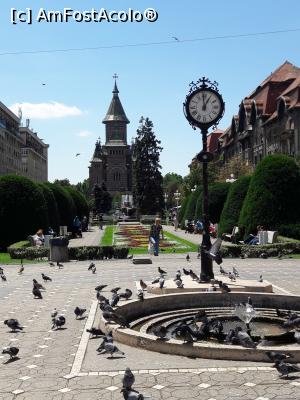 [P37] imagine din centrul Timisoarei » foto by silvia tudoran
 - 
<span class="allrVoted glyphicon glyphicon-heart hidden" id="av1012035"></span>
<a class="m-l-10 hidden" id="sv1012035" onclick="voting_Foto_DelVot(,1012035,21990)" role="button">șterge vot <span class="glyphicon glyphicon-remove"></span></a>
<a id="v91012035" class=" c-red"  onclick="voting_Foto_SetVot(1012035)" role="button"><span class="glyphicon glyphicon-heart-empty"></span> <b>LIKE</b> = Votează poza</a> <img class="hidden"  id="f1012035W9" src="/imagini/loader.gif" border="0" /><span class="AjErrMes hidden" id="e1012035ErM"></span>