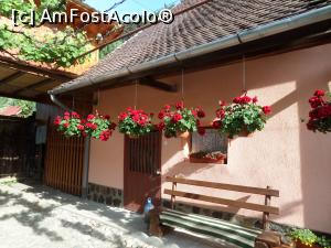 [P02] Multe flori, o încântare pentru noi.  » foto by Safta Radu
 - 
<span class="allrVoted glyphicon glyphicon-heart hidden" id="av860798"></span>
<a class="m-l-10 hidden" id="sv860798" onclick="voting_Foto_DelVot(,860798,21997)" role="button">șterge vot <span class="glyphicon glyphicon-remove"></span></a>
<a id="v9860798" class=" c-red"  onclick="voting_Foto_SetVot(860798)" role="button"><span class="glyphicon glyphicon-heart-empty"></span> <b>LIKE</b> = Votează poza</a> <img class="hidden"  id="f860798W9" src="/imagini/loader.gif" border="0" /><span class="AjErrMes hidden" id="e860798ErM"></span>