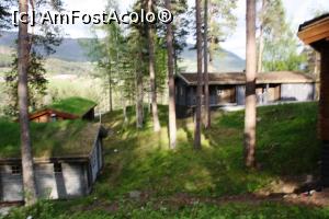 [P02] Cam asa arata intrarea in poveste » foto by DOINITA
 - 
<span class="allrVoted glyphicon glyphicon-heart hidden" id="av870339"></span>
<a class="m-l-10 hidden" id="sv870339" onclick="voting_Foto_DelVot(,870339,22145)" role="button">șterge vot <span class="glyphicon glyphicon-remove"></span></a>
<a id="v9870339" class=" c-red"  onclick="voting_Foto_SetVot(870339)" role="button"><span class="glyphicon glyphicon-heart-empty"></span> <b>LIKE</b> = Votează poza</a> <img class="hidden"  id="f870339W9" src="/imagini/loader.gif" border="0" /><span class="AjErrMes hidden" id="e870339ErM"></span>
