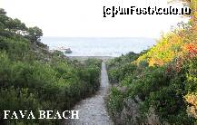 [P19] poteca ce duce prin padurea de pini la fava beach » foto by onlyoctavian
 - 
<span class="allrVoted glyphicon glyphicon-heart hidden" id="av247404"></span>
<a class="m-l-10 hidden" id="sv247404" onclick="voting_Foto_DelVot(,247404,22254)" role="button">șterge vot <span class="glyphicon glyphicon-remove"></span></a>
<a id="v9247404" class=" c-red"  onclick="voting_Foto_SetVot(247404)" role="button"><span class="glyphicon glyphicon-heart-empty"></span> <b>LIKE</b> = Votează poza</a> <img class="hidden"  id="f247404W9" src="/imagini/loader.gif" border="0" /><span class="AjErrMes hidden" id="e247404ErM"></span>