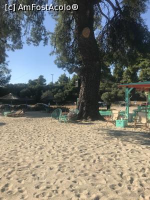 [P15] Las Bandidas, Stiladario Beach » foto by krisstinna
 - 
<span class="allrVoted glyphicon glyphicon-heart hidden" id="av1024350"></span>
<a class="m-l-10 hidden" id="sv1024350" onclick="voting_Foto_DelVot(,1024350,22254)" role="button">șterge vot <span class="glyphicon glyphicon-remove"></span></a>
<a id="v91024350" class=" c-red"  onclick="voting_Foto_SetVot(1024350)" role="button"><span class="glyphicon glyphicon-heart-empty"></span> <b>LIKE</b> = Votează poza</a> <img class="hidden"  id="f1024350W9" src="/imagini/loader.gif" border="0" /><span class="AjErrMes hidden" id="e1024350ErM"></span>