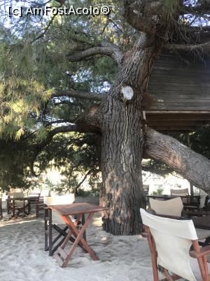 [P18] Las Bandidas, Stiladario Beach » foto by krisstinna
 - 
<span class="allrVoted glyphicon glyphicon-heart hidden" id="av1024353"></span>
<a class="m-l-10 hidden" id="sv1024353" onclick="voting_Foto_DelVot(,1024353,22254)" role="button">șterge vot <span class="glyphicon glyphicon-remove"></span></a>
<a id="v91024353" class=" c-red"  onclick="voting_Foto_SetVot(1024353)" role="button"><span class="glyphicon glyphicon-heart-empty"></span> <b>LIKE</b> = Votează poza</a> <img class="hidden"  id="f1024353W9" src="/imagini/loader.gif" border="0" /><span class="AjErrMes hidden" id="e1024353ErM"></span>