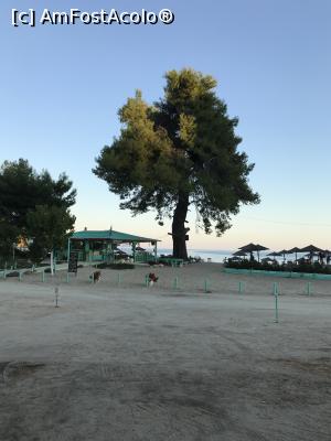 [P27] Las Bandidas, Stiladario Beach » foto by krisstinna
 - 
<span class="allrVoted glyphicon glyphicon-heart hidden" id="av1024362"></span>
<a class="m-l-10 hidden" id="sv1024362" onclick="voting_Foto_DelVot(,1024362,22254)" role="button">șterge vot <span class="glyphicon glyphicon-remove"></span></a>
<a id="v91024362" class=" c-red"  onclick="voting_Foto_SetVot(1024362)" role="button"><span class="glyphicon glyphicon-heart-empty"></span> <b>LIKE</b> = Votează poza</a> <img class="hidden"  id="f1024362W9" src="/imagini/loader.gif" border="0" /><span class="AjErrMes hidden" id="e1024362ErM"></span>