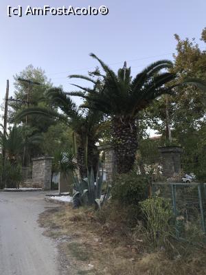 [P37] Intrarea în grădina hotelului Poseidon » foto by krisstinna
 - 
<span class="allrVoted glyphicon glyphicon-heart hidden" id="av1024372"></span>
<a class="m-l-10 hidden" id="sv1024372" onclick="voting_Foto_DelVot(,1024372,22254)" role="button">șterge vot <span class="glyphicon glyphicon-remove"></span></a>
<a id="v91024372" class=" c-red"  onclick="voting_Foto_SetVot(1024372)" role="button"><span class="glyphicon glyphicon-heart-empty"></span> <b>LIKE</b> = Votează poza</a> <img class="hidden"  id="f1024372W9" src="/imagini/loader.gif" border="0" /><span class="AjErrMes hidden" id="e1024372ErM"></span>