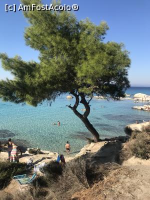 [P01] Orange Beach » foto by krisstinna
 - 
<span class="allrVoted glyphicon glyphicon-heart hidden" id="av1029885"></span>
<a class="m-l-10 hidden" id="sv1029885" onclick="voting_Foto_DelVot(,1029885,22254)" role="button">șterge vot <span class="glyphicon glyphicon-remove"></span></a>
<a id="v91029885" class=" c-red"  onclick="voting_Foto_SetVot(1029885)" role="button"><span class="glyphicon glyphicon-heart-empty"></span> <b>LIKE</b> = Votează poza</a> <img class="hidden"  id="f1029885W9" src="/imagini/loader.gif" border="0" /><span class="AjErrMes hidden" id="e1029885ErM"></span>