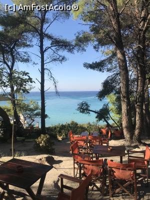 [P11] Orange Beach » foto by krisstinna
 - 
<span class="allrVoted glyphicon glyphicon-heart hidden" id="av1029897"></span>
<a class="m-l-10 hidden" id="sv1029897" onclick="voting_Foto_DelVot(,1029897,22254)" role="button">șterge vot <span class="glyphicon glyphicon-remove"></span></a>
<a id="v91029897" class=" c-red"  onclick="voting_Foto_SetVot(1029897)" role="button"><span class="glyphicon glyphicon-heart-empty"></span> <b>LIKE</b> = Votează poza</a> <img class="hidden"  id="f1029897W9" src="/imagini/loader.gif" border="0" /><span class="AjErrMes hidden" id="e1029897ErM"></span>