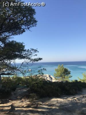 [P12] Orange Beach » foto by krisstinna
 - 
<span class="allrVoted glyphicon glyphicon-heart hidden" id="av1029898"></span>
<a class="m-l-10 hidden" id="sv1029898" onclick="voting_Foto_DelVot(,1029898,22254)" role="button">șterge vot <span class="glyphicon glyphicon-remove"></span></a>
<a id="v91029898" class=" c-red"  onclick="voting_Foto_SetVot(1029898)" role="button"><span class="glyphicon glyphicon-heart-empty"></span> <b>LIKE</b> = Votează poza</a> <img class="hidden"  id="f1029898W9" src="/imagini/loader.gif" border="0" /><span class="AjErrMes hidden" id="e1029898ErM"></span>