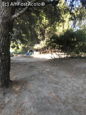 [P24] Orange Beach » foto by krisstinna
 - 
<span class="allrVoted glyphicon glyphicon-heart hidden" id="av1029912"></span>
<a class="m-l-10 hidden" id="sv1029912" onclick="voting_Foto_DelVot(,1029912,22254)" role="button">șterge vot <span class="glyphicon glyphicon-remove"></span></a>
<a id="v91029912" class=" c-red"  onclick="voting_Foto_SetVot(1029912)" role="button"><span class="glyphicon glyphicon-heart-empty"></span> <b>LIKE</b> = Votează poza</a> <img class="hidden"  id="f1029912W9" src="/imagini/loader.gif" border="0" /><span class="AjErrMes hidden" id="e1029912ErM"></span>