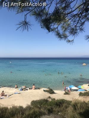 [P04] Orange Beach » foto by krisstinna
 - 
<span class="allrVoted glyphicon glyphicon-heart hidden" id="av1029888"></span>
<a class="m-l-10 hidden" id="sv1029888" onclick="voting_Foto_DelVot(,1029888,22254)" role="button">șterge vot <span class="glyphicon glyphicon-remove"></span></a>
<a id="v91029888" class=" c-red"  onclick="voting_Foto_SetVot(1029888)" role="button"><span class="glyphicon glyphicon-heart-empty"></span> <b>LIKE</b> = Votează poza</a> <img class="hidden"  id="f1029888W9" src="/imagini/loader.gif" border="0" /><span class="AjErrMes hidden" id="e1029888ErM"></span>