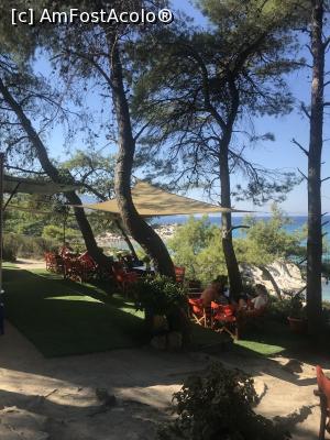 [P06] Orange Beach » foto by krisstinna
 - 
<span class="allrVoted glyphicon glyphicon-heart hidden" id="av1029890"></span>
<a class="m-l-10 hidden" id="sv1029890" onclick="voting_Foto_DelVot(,1029890,22254)" role="button">șterge vot <span class="glyphicon glyphicon-remove"></span></a>
<a id="v91029890" class=" c-red"  onclick="voting_Foto_SetVot(1029890)" role="button"><span class="glyphicon glyphicon-heart-empty"></span> <b>LIKE</b> = Votează poza</a> <img class="hidden"  id="f1029890W9" src="/imagini/loader.gif" border="0" /><span class="AjErrMes hidden" id="e1029890ErM"></span>