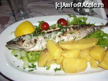 [P16]  -- <small>// FĂRĂ DESCRIERE</small> » foto by Tuica
 - 
<span class="allrVoted glyphicon glyphicon-heart hidden" id="av240203"></span>
<a class="m-l-10 hidden" id="sv240203" onclick="voting_Foto_DelVot(,240203,22302)" role="button">șterge vot <span class="glyphicon glyphicon-remove"></span></a>
<a id="v9240203" class=" c-red"  onclick="voting_Foto_SetVot(240203)" role="button"><span class="glyphicon glyphicon-heart-empty"></span> <b>LIKE</b> = Votează poza</a> <img class="hidden"  id="f240203W9" src="/imagini/loader.gif" border="0" /><span class="AjErrMes hidden" id="e240203ErM"></span>