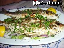 [P21]  -- <small>// FĂRĂ DESCRIERE</small> » foto by Tuica
 - 
<span class="allrVoted glyphicon glyphicon-heart hidden" id="av240207"></span>
<a class="m-l-10 hidden" id="sv240207" onclick="voting_Foto_DelVot(,240207,22302)" role="button">șterge vot <span class="glyphicon glyphicon-remove"></span></a>
<a id="v9240207" class=" c-red"  onclick="voting_Foto_SetVot(240207)" role="button"><span class="glyphicon glyphicon-heart-empty"></span> <b>LIKE</b> = Votează poza</a> <img class="hidden"  id="f240207W9" src="/imagini/loader.gif" border="0" /><span class="AjErrMes hidden" id="e240207ErM"></span>