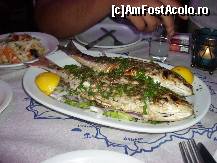 [P28]  -- <small>// FĂRĂ DESCRIERE</small> » foto by Tuica
 - 
<span class="allrVoted glyphicon glyphicon-heart hidden" id="av240209"></span>
<a class="m-l-10 hidden" id="sv240209" onclick="voting_Foto_DelVot(,240209,22302)" role="button">șterge vot <span class="glyphicon glyphicon-remove"></span></a>
<a id="v9240209" class=" c-red"  onclick="voting_Foto_SetVot(240209)" role="button"><span class="glyphicon glyphicon-heart-empty"></span> <b>LIKE</b> = Votează poza</a> <img class="hidden"  id="f240209W9" src="/imagini/loader.gif" border="0" /><span class="AjErrMes hidden" id="e240209ErM"></span>