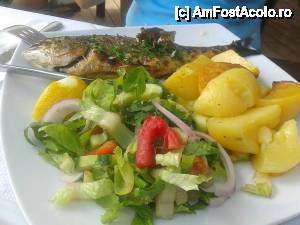 [P04] Tzipoura (Dorada) la Krambousa » foto by cata_mincu
 - 
<span class="allrVoted glyphicon glyphicon-heart hidden" id="av467562"></span>
<a class="m-l-10 hidden" id="sv467562" onclick="voting_Foto_DelVot(,467562,22302)" role="button">șterge vot <span class="glyphicon glyphicon-remove"></span></a>
<a id="v9467562" class=" c-red"  onclick="voting_Foto_SetVot(467562)" role="button"><span class="glyphicon glyphicon-heart-empty"></span> <b>LIKE</b> = Votează poza</a> <img class="hidden"  id="f467562W9" src="/imagini/loader.gif" border="0" /><span class="AjErrMes hidden" id="e467562ErM"></span>