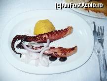 [P12] Caracatita prajita la Sotiris.  » foto by macius
 - 
<span class="allrVoted glyphicon glyphicon-heart hidden" id="av429635"></span>
<a class="m-l-10 hidden" id="sv429635" onclick="voting_Foto_DelVot(,429635,22302)" role="button">șterge vot <span class="glyphicon glyphicon-remove"></span></a>
<a id="v9429635" class=" c-red"  onclick="voting_Foto_SetVot(429635)" role="button"><span class="glyphicon glyphicon-heart-empty"></span> <b>LIKE</b> = Votează poza</a> <img class="hidden"  id="f429635W9" src="/imagini/loader.gif" border="0" /><span class="AjErrMes hidden" id="e429635ErM"></span>