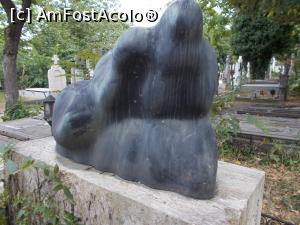 [P14] ”Bocitoarele” Miliței Petrașcu.  » foto by mihaelavoicu
 - 
<span class="allrVoted glyphicon glyphicon-heart hidden" id="av1107843"></span>
<a class="m-l-10 hidden" id="sv1107843" onclick="voting_Foto_DelVot(,1107843,22321)" role="button">șterge vot <span class="glyphicon glyphicon-remove"></span></a>
<a id="v91107843" class=" c-red"  onclick="voting_Foto_SetVot(1107843)" role="button"><span class="glyphicon glyphicon-heart-empty"></span> <b>LIKE</b> = Votează poza</a> <img class="hidden"  id="f1107843W9" src="/imagini/loader.gif" border="0" /><span class="AjErrMes hidden" id="e1107843ErM"></span>