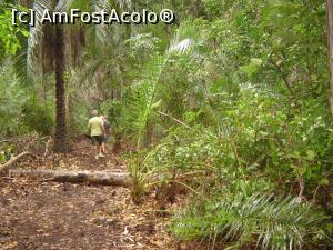 [P31] in parcul Jozani » foto by nela b
 - 
<span class="allrVoted glyphicon glyphicon-heart hidden" id="av882671"></span>
<a class="m-l-10 hidden" id="sv882671" onclick="voting_Foto_DelVot(,882671,22360)" role="button">șterge vot <span class="glyphicon glyphicon-remove"></span></a>
<a id="v9882671" class=" c-red"  onclick="voting_Foto_SetVot(882671)" role="button"><span class="glyphicon glyphicon-heart-empty"></span> <b>LIKE</b> = Votează poza</a> <img class="hidden"  id="f882671W9" src="/imagini/loader.gif" border="0" /><span class="AjErrMes hidden" id="e882671ErM"></span>