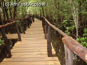 [P34] special construit deasupra mangrovelor » foto by nela b
 - 
<span class="allrVoted glyphicon glyphicon-heart hidden" id="av882677"></span>
<a class="m-l-10 hidden" id="sv882677" onclick="voting_Foto_DelVot(,882677,22360)" role="button">șterge vot <span class="glyphicon glyphicon-remove"></span></a>
<a id="v9882677" class=" c-red"  onclick="voting_Foto_SetVot(882677)" role="button"><span class="glyphicon glyphicon-heart-empty"></span> <b>LIKE</b> = Votează poza</a> <img class="hidden"  id="f882677W9" src="/imagini/loader.gif" border="0" /><span class="AjErrMes hidden" id="e882677ErM"></span>