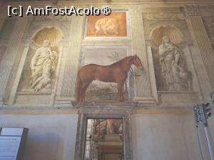 [P19] Sala cailor » foto by Carmen Ion
 - 
<span class="allrVoted glyphicon glyphicon-heart hidden" id="av1547102"></span>
<a class="m-l-10 hidden" id="sv1547102" onclick="voting_Foto_DelVot(,1547102,22402)" role="button">șterge vot <span class="glyphicon glyphicon-remove"></span></a>
<a id="v91547102" class=" c-red"  onclick="voting_Foto_SetVot(1547102)" role="button"><span class="glyphicon glyphicon-heart-empty"></span> <b>LIKE</b> = Votează poza</a> <img class="hidden"  id="f1547102W9" src="/imagini/loader.gif" border="0" /><span class="AjErrMes hidden" id="e1547102ErM"></span>
